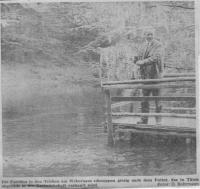 1971-groenegausee_2.jpg